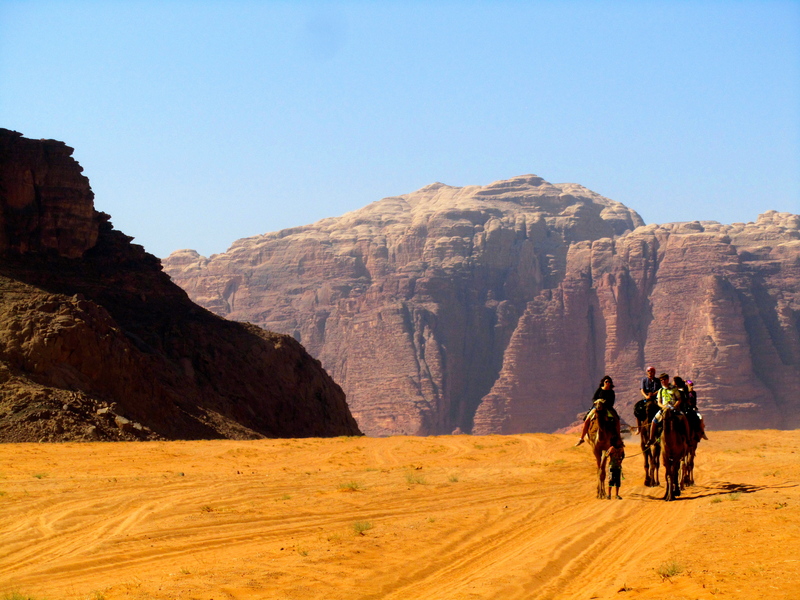 CAMELS