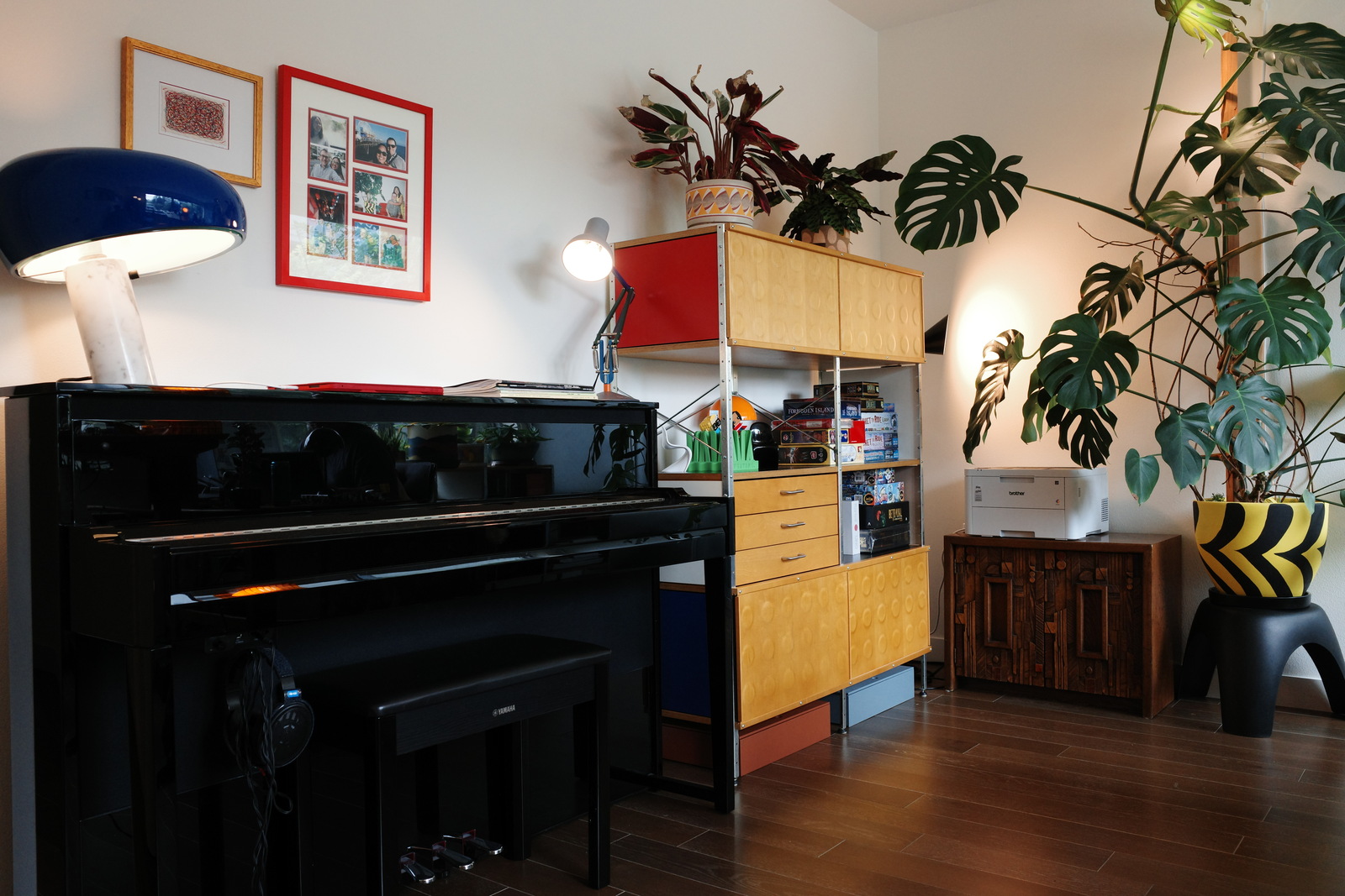Piano, plants, and storage in the office