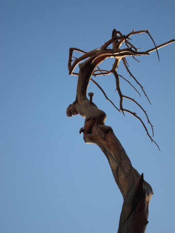 jesus on the cedar